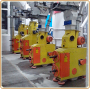 Крупоцех по гречихе 60 т/сут., Алтайский край, РФ