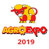 Олис на виставці «AGROEXPO-2019»