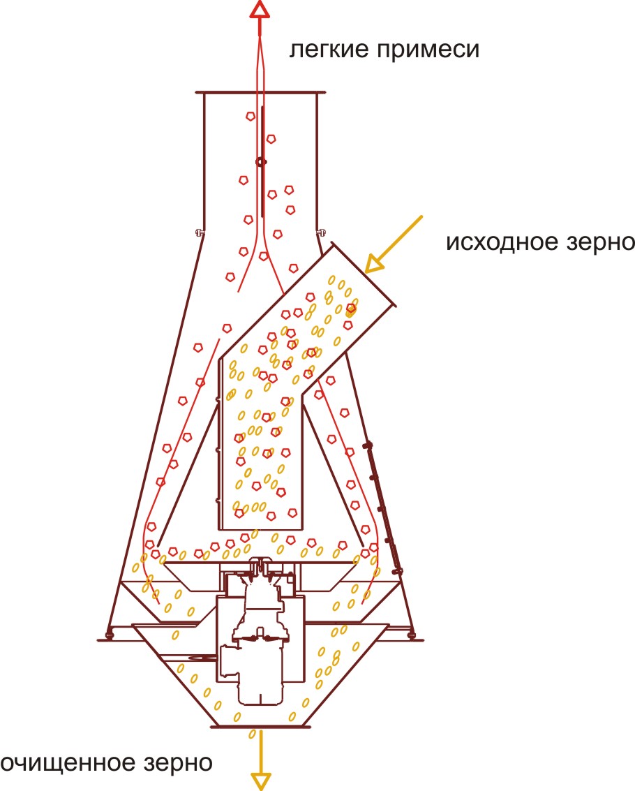 Schemat czyszczenia ziarna