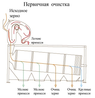 Czyszczenie pierwotne ziarna