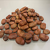 зерно бобов