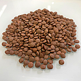 Зерно чечевицы