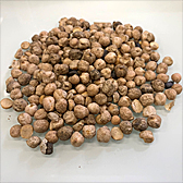 Пораженное зерно нута