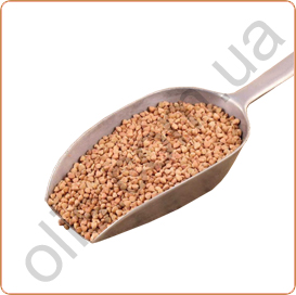 Перераработка гречихи Перераработка гречихи