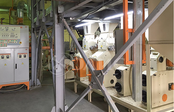 У Казахстані Петропавловськ почав роботу завод з переробки гречки компанії Олис