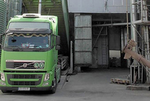 Вивантаження вівса для переробки Вивантаження вівса для переробки